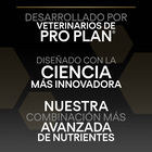 Pro Plan Small & Mini Adult Duo Délice Pollo pienso para perros image number null